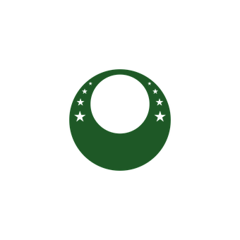 Free Palmeiras Football illustration and picture