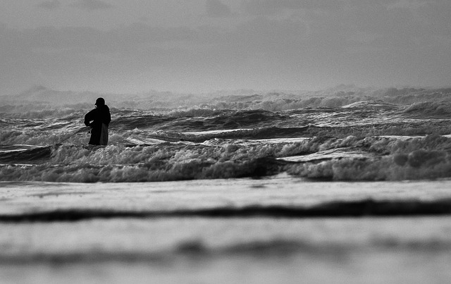 Free Web Black-And-White photo and picture