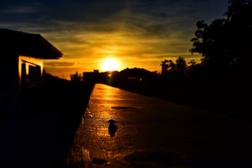 Free Sunset Wallpaper Hd photo and picture
