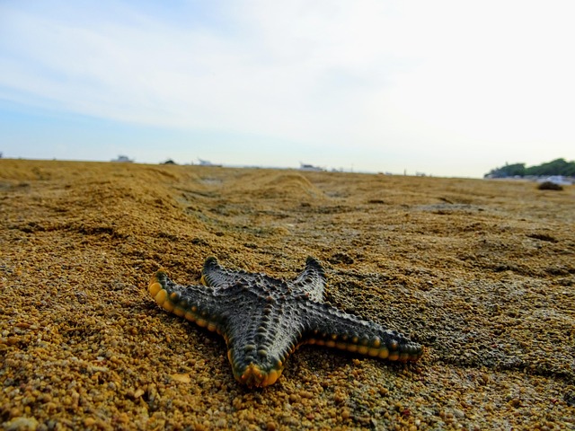 Free Bali Indonesia photo and picture