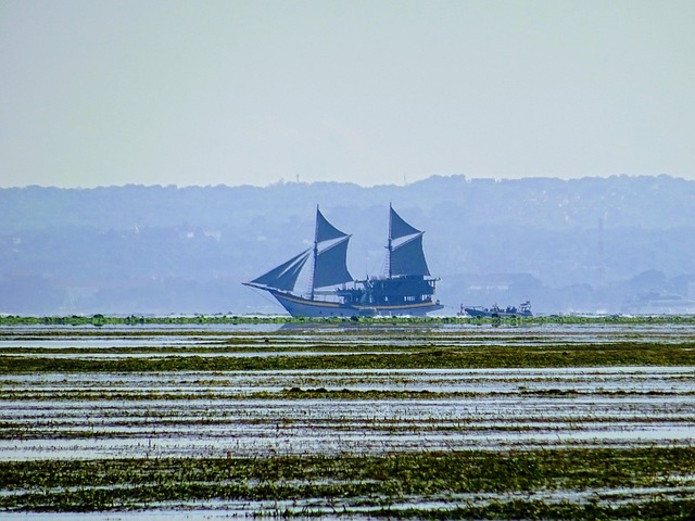 Free Bali Indonesia photo and picture