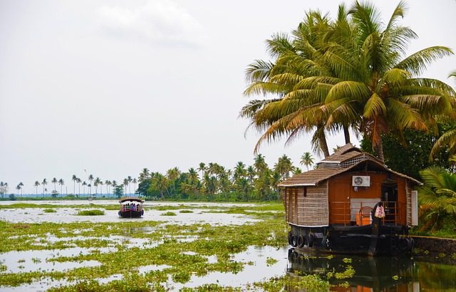 Free Backwaters India photo and picture