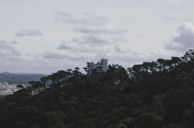 Free Castle Landscape photo and picture