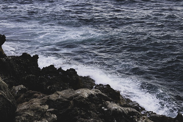 Free Water Sea photo and picture