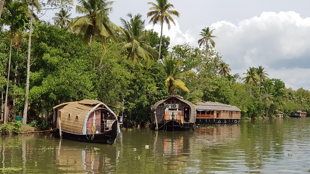 Free India Backwaters photo and picture