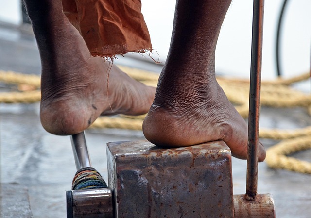 Free India Backwaters photo and picture