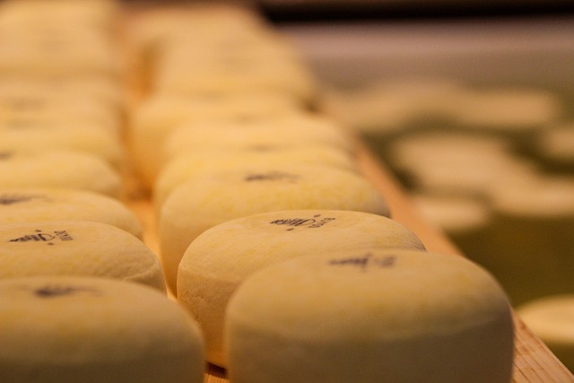 Free Cheese Holland photo and picture