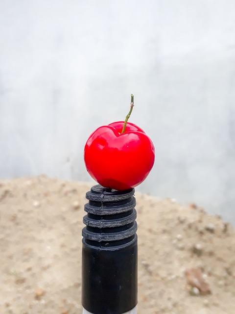 Free Fruit Acerola photo and picture
