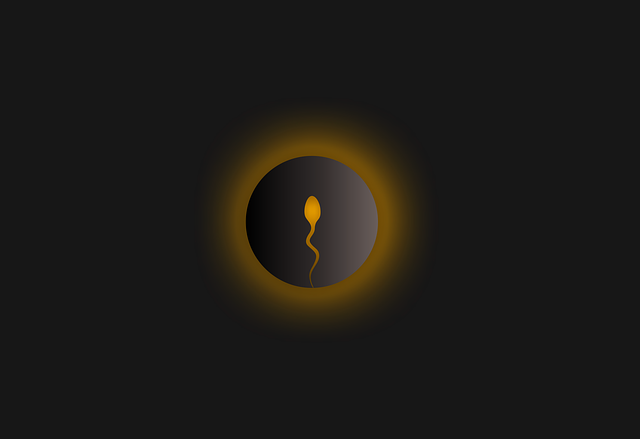 Free sperm reproduction fertilization illustration