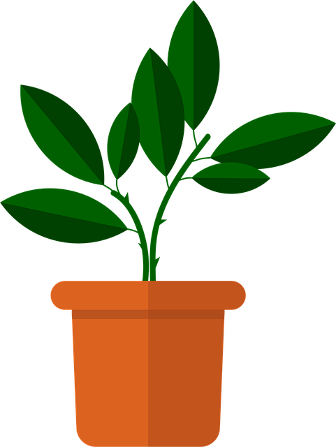 Free flower vase flowers vector