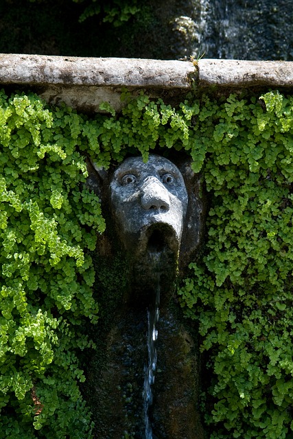 Free Fountain Person photo and picture