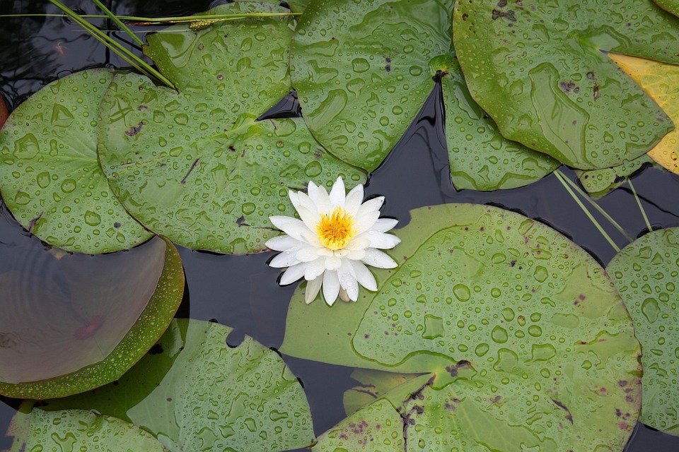 93 Gambar Alam Tenang HD 93 Gambar Alam Tenang HD