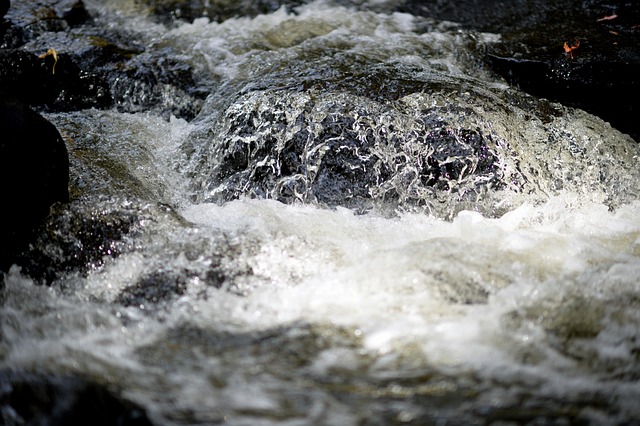 Free Water Waterfall photo and picture