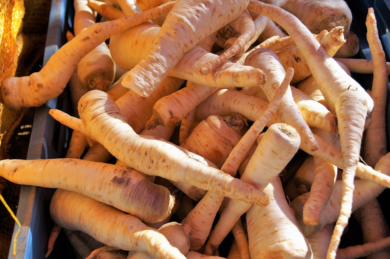 Parsley Root Fresh Free photo on Pixabay Pixabay