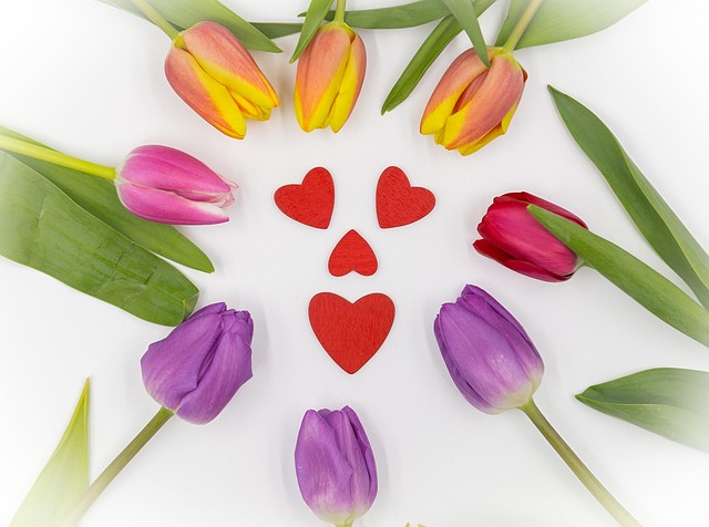 Free Tulips Tulips Heart photo and picture