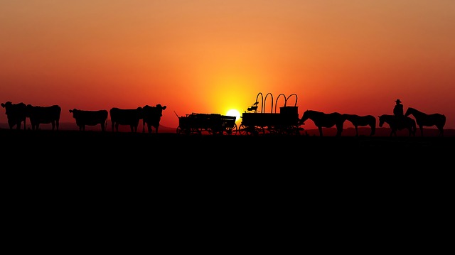 Free sunset america where is illustration