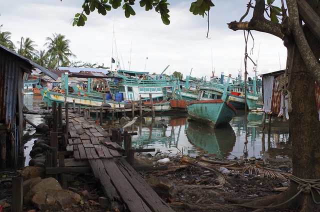 Free Cambodia Fishing photo and picture