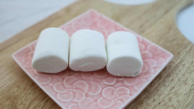 Free Marshmallow Sweetness photo and picture