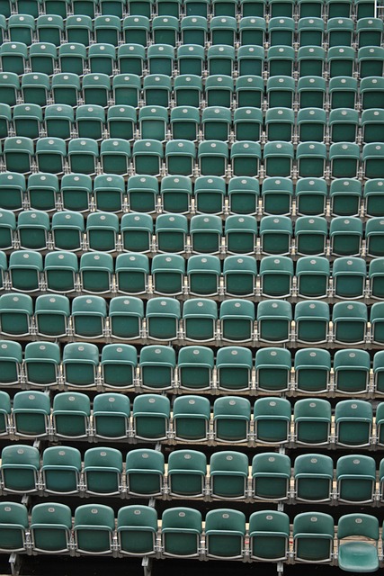 Free Chairs Rows Of Seats photo and picture