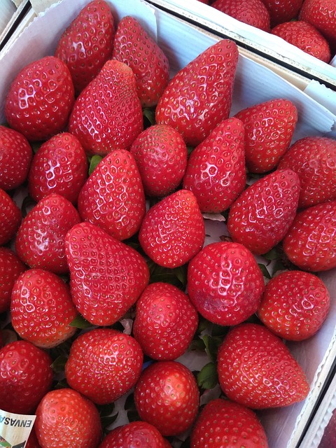 Free Strawberry Strawberries photo and picture
