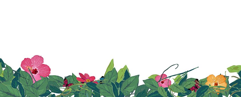Rammer, Blomster, Forår, Dekorativ