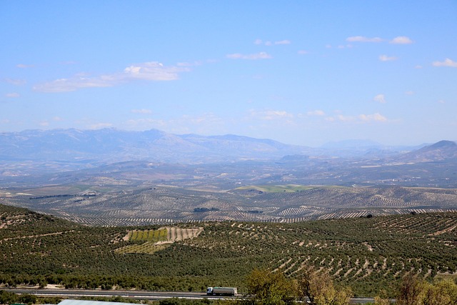 Landskab, Baeza