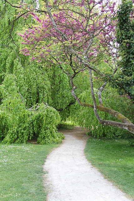 Free Garden Path photo and picture