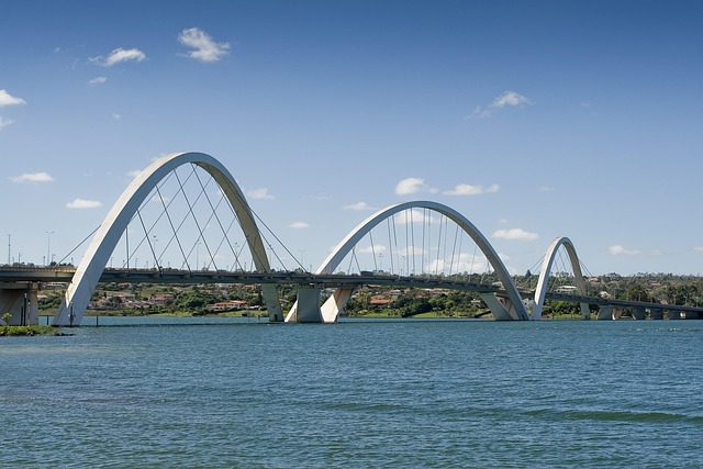 Free Bridge Brasilia photo and picture