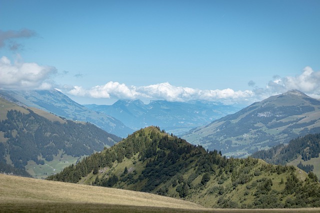 Schweiz, Adelboden, Alpin, Berge, Grün