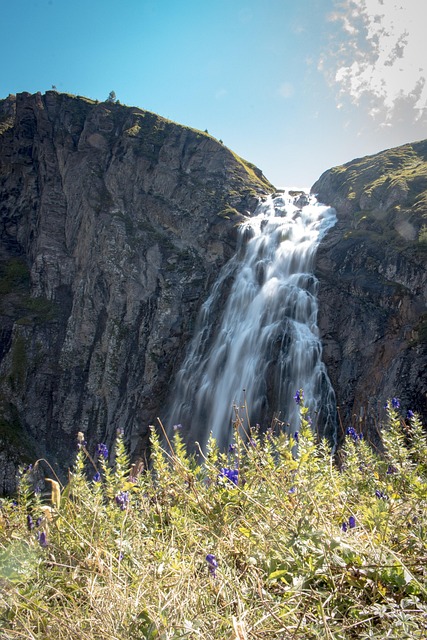 Schweiz, Adelboden, Alpin, Berge, Grün