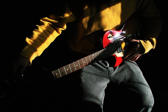 Free Guitar Electric photo and picture