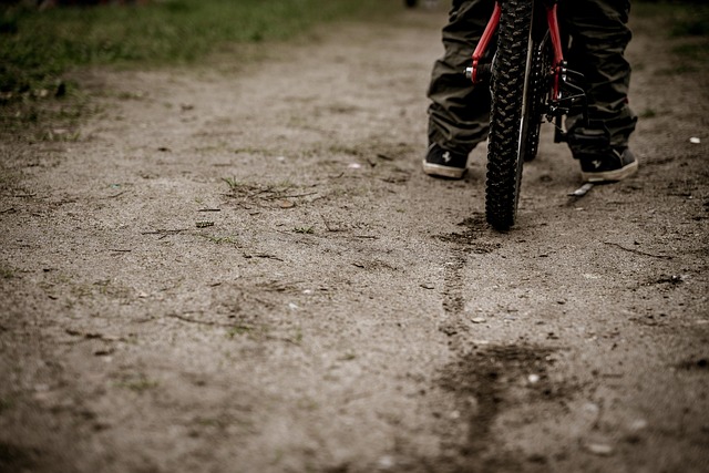 Free Bicycle Brake photo and picture
