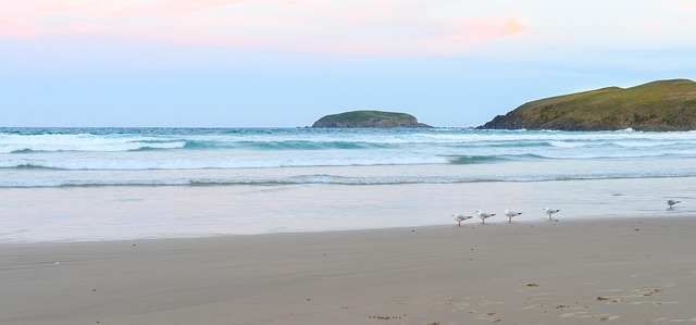 Free Beach Sandy photo and picture