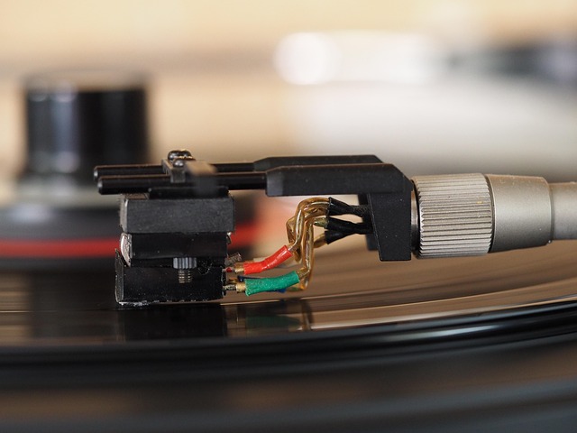 Free Vinyl Vinyl Record photo and picture