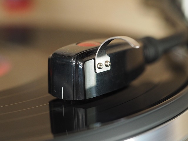 Free Vinyl Vinyl Record photo and picture