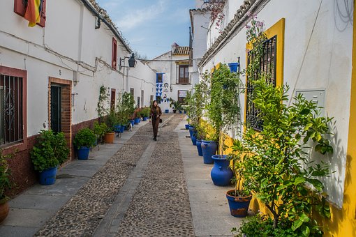 Cordoba, Andalucia, By, Blomster, Haver