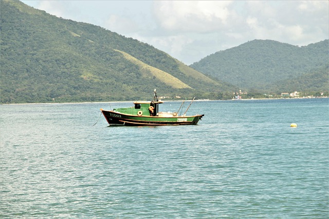 Free Sea Ocean photo and picture