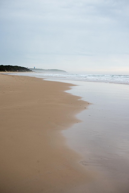 Free Headland Beach photo and picture