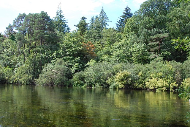 Free Green River photo and picture