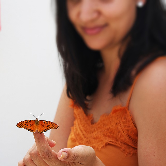 Brünette, Schmetterling, Brasilien