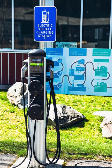 Free Car Electric photo and picture