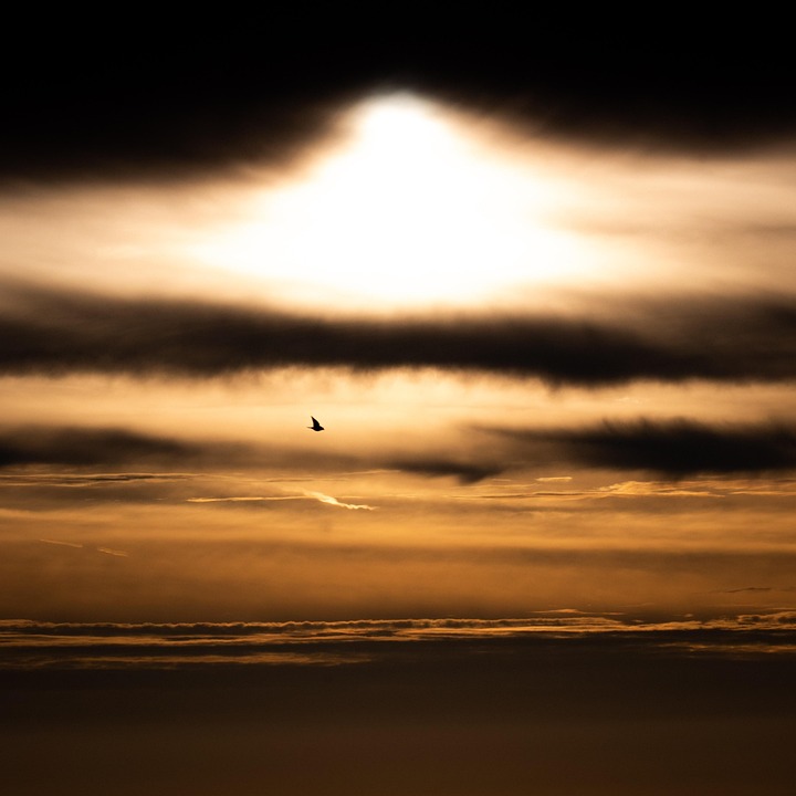 Sonnenaufgang Explosion Sonne Kostenloses Foto Auf Pixabay