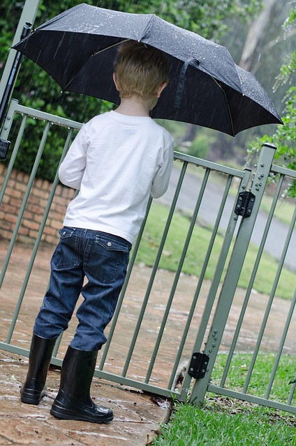 Free Rain Umbrella photo and picture