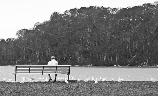 Free Man Bench photo and picture