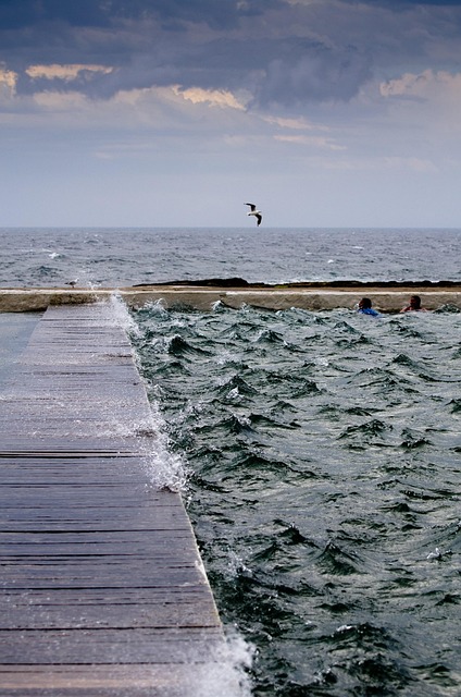 Free Platform Nature photo and picture
