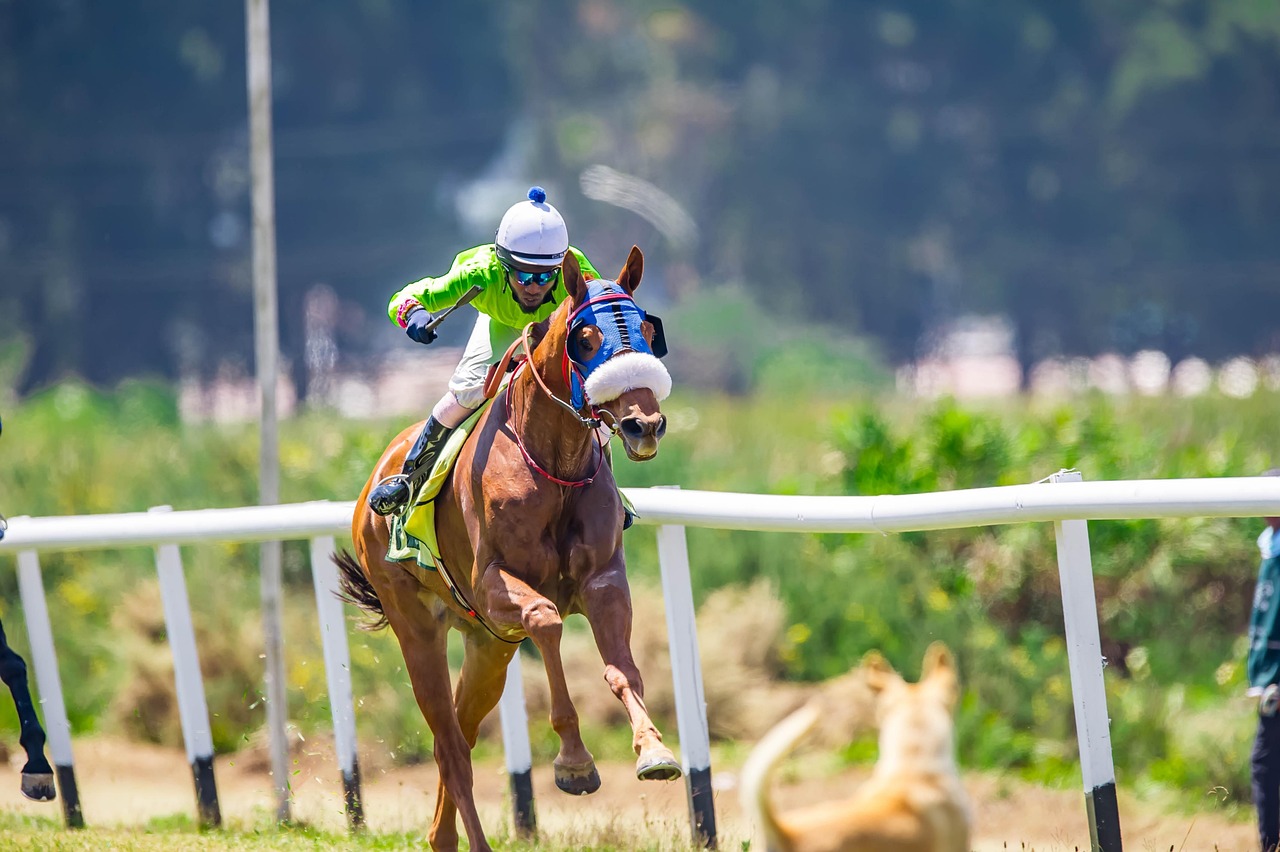 Race - free online jigsaw puzzle photo