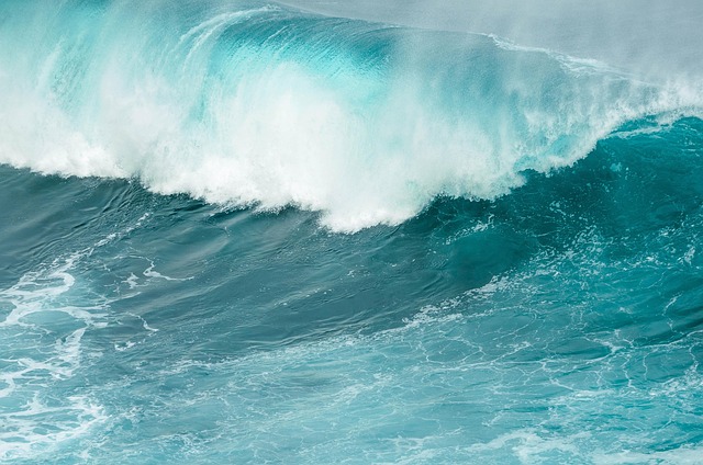 Free Wave Water photo and picture