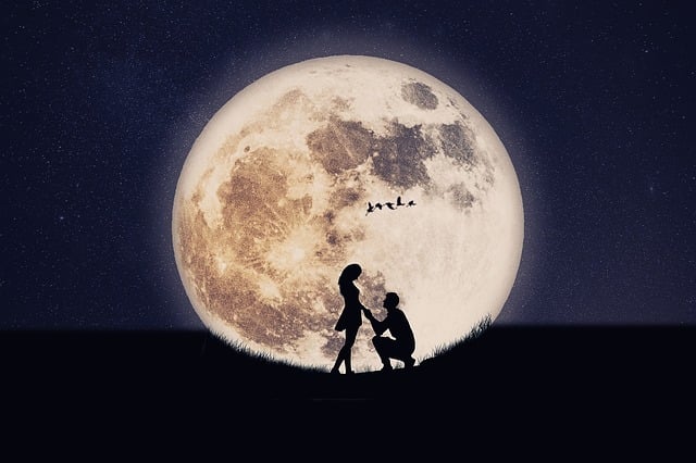 Free manipulation silhouette romantic illustration