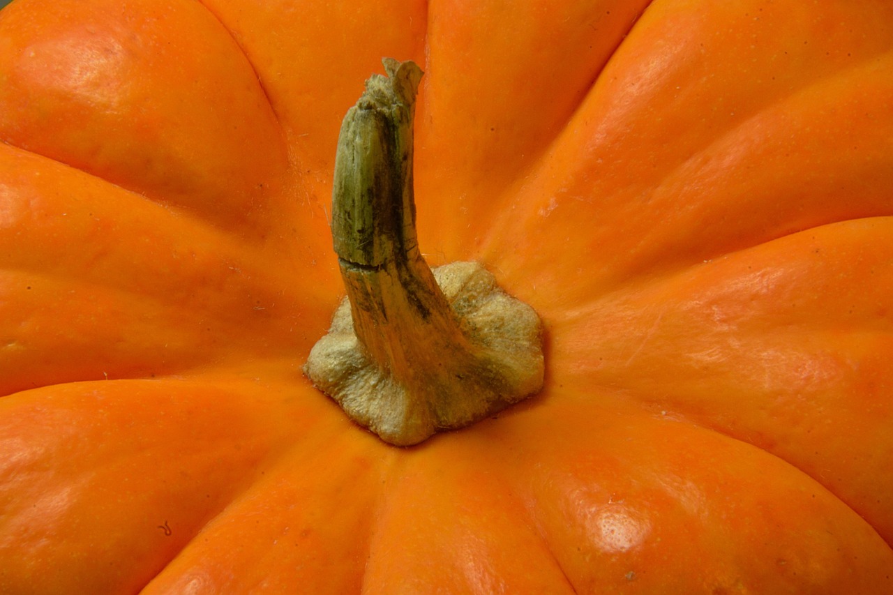 Pumpkin - free online jigsaw puzzle photo