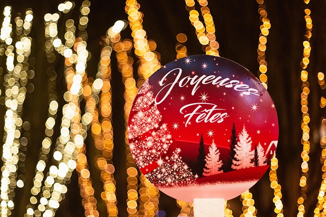 Free Joyeusesfêtes Christmas photo and picture